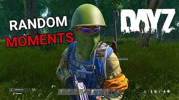 Random Moments - DayZ