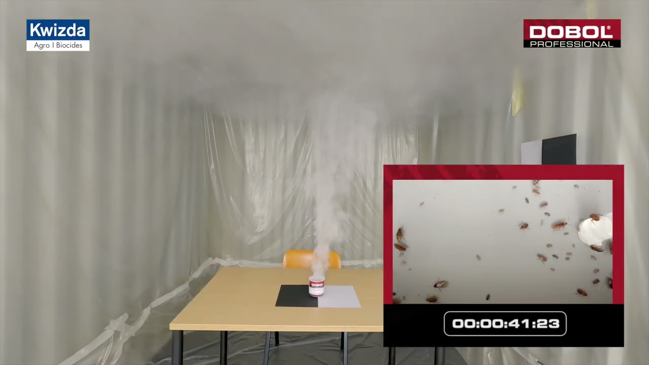 YouTube video preview