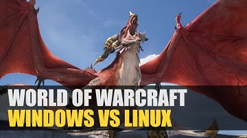 World of Warcraft: Dragonflight | Windows vs Linux | Directx 12 vs VKD3D | DirectX 11 vs DXVK
