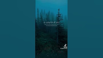 اكتب شيئا تؤجر عليه |القارئ: بدر التركي @B_m_turki @Ahmad_Alnufais #بدر_المشاري #عبدالله_الموسى