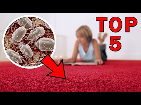 Video: Jak se zbavíte termitů v posteli?