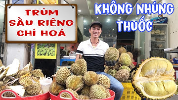 KHỦNG QUÁ Anh Thanh trai quê NHẬP sầu riêng chín cây KHÔNG NHÚNG THUỐC khui đã tay trái nào cũng ú
