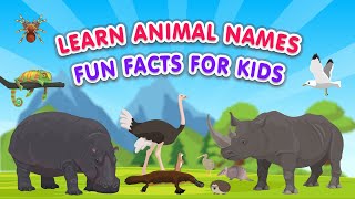 Fun Animal Names for Kids! | Dive into 15 Animals with Fascinating Facts! | Spell, Explore, Learn!