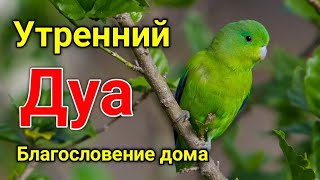 Утренний Дуа. Дуа Каждое Утро