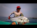 MEGA GALLOS con POPPER!! // BIG ROOSTERFISH ON POPPER