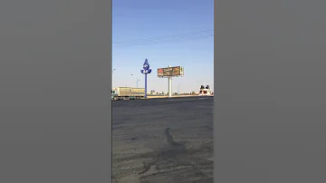 الشملي محتاج مطعم هرفي 