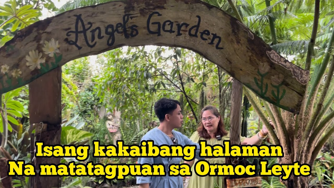(PART 1) ISANG CERTIFIED PLANTITA SA MILARGO ORMOC LEYTE NA MAY HIGIT LIBONG COLLECTIONS