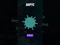Вредоносное ПО vs Вирусы #code