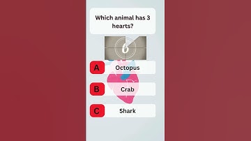 USA Quiz Challenge: Test Your Knowledge With This Question #usaquiz #funquiz #brainteaser #usafacts