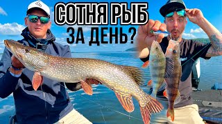 видео: Будут ли это САМЫЕ РЫБНЫЕ ТРЕНИРОВКИ? Вернулись за ВОЛЖСКИМИ ХИЩНИКАМИ на Чебоксарское водохранилище картинка: Будут ли это САМЫЕ РЫБНЫЕ ТРЕНИРОВКИ? Вернулись за ВОЛЖСКИМИ ХИЩНИКАМИ на Чебоксарское водохранилище