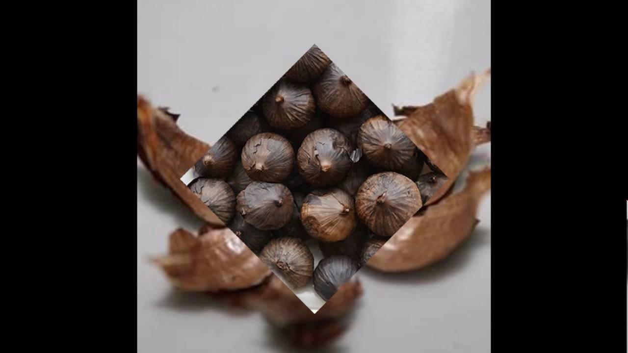 Jual Bawang Hitam Sebagai Solusi Segala Penyakit 