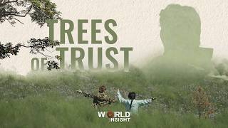 Trees of Trust｜Before the reunion of Yin Yuzhen and Sakolsky