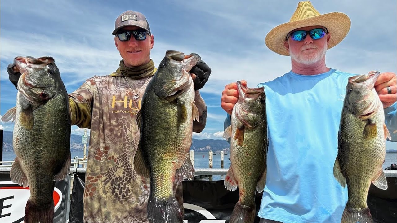 Big Bass On Big Swimbaits Won Bass Cal Open