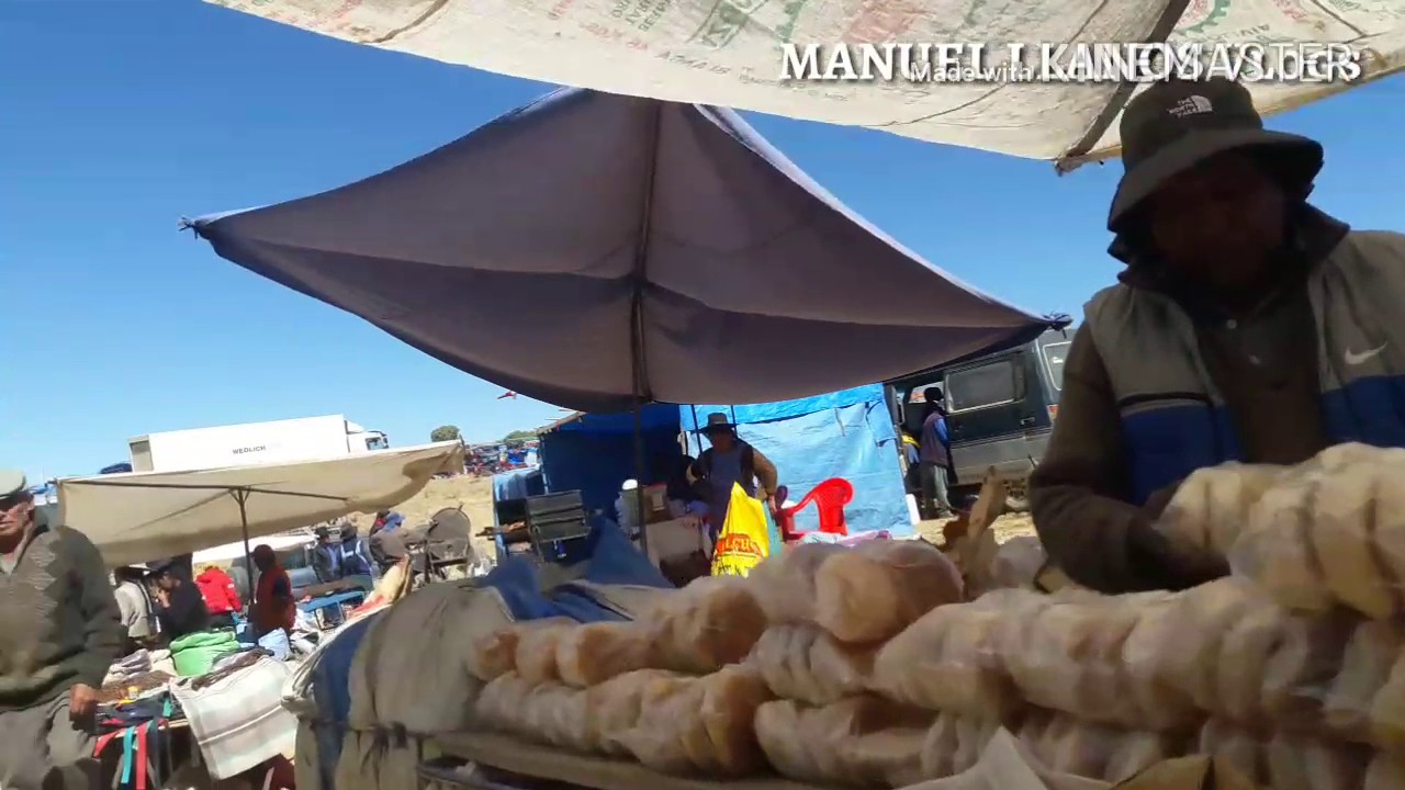 Feria "Santiago" Malliri 2017