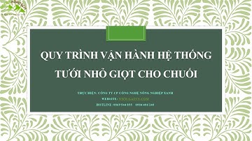 Quy trình vận hành hệ thống tưới nhỏ giọt cho chuối | Nông nghiêp Xanh