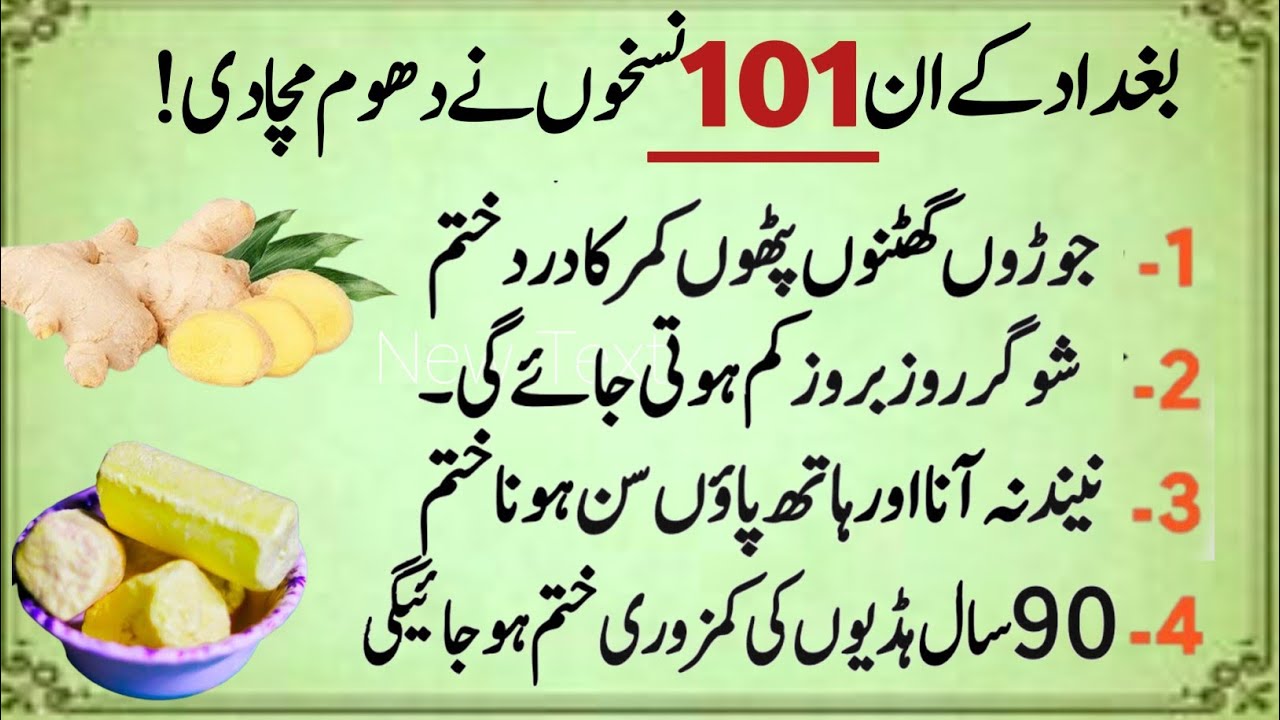 Motivational Islamic Quotes/Quotes About life |Golden Words/Rumi Quotes in Urdu | Hazrat Ali part 16