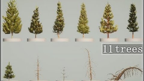 Coniferous pine trees 3d models made for Unity demo