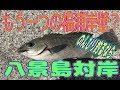 釣り動画ロマンを求めて　53釣目（八景島対岸）