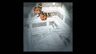 Butterfly in the library. Stop motion