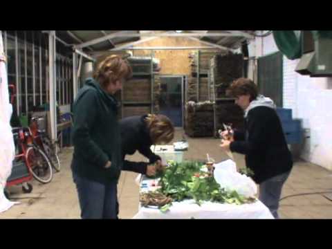 Bloem & herfst stukjes maken youtube Youtube bloemschikken herfst