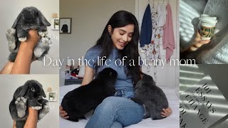 Day in the life of a bunny mom | Starbucks, morning routine, content 🐰 by Dumbo and Bear 1,752 views 1 year ago 6 minutes, 15 seconds