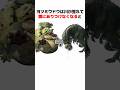 【モンハン】ヨツミワドウの生態とトリビアを解説#モンハン #モンハン解説 #mhrise
