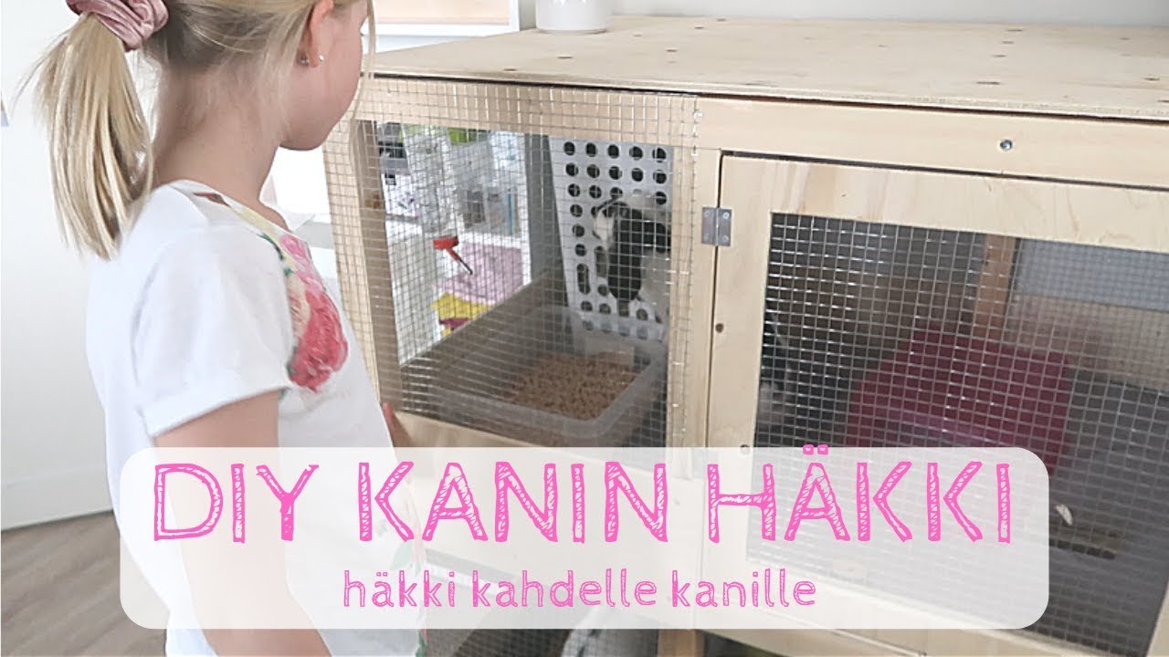 DIY kanin häkki | DIY rabbit cage | yllätys tytöille - YouTube