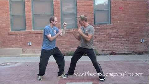 Real Monkey Kung Fu Fight 1