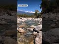 शहर का शोर छोड़, यहाँ सिर्फ़ सुकून है 🌤️ #Himachal #HimachalKiVadiyan #PahadonKaSukoon
