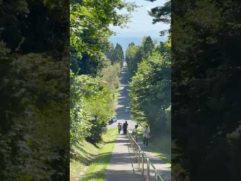 【絶景】トラピスト大修道院(北海道北斗市)から海への木の回廊2025年9月15日