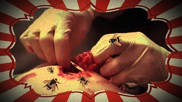 THE ZOUK SLAUGHTER HOUSE: HALLOWEEN CARNIVAL 2014