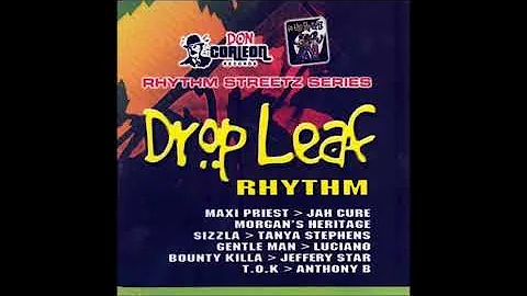 Drop Leaf Riddim Mix (2005) Jah Cure,T O K,Morgan Heritage,Sizzla,Bounty Killer,Luciano & More