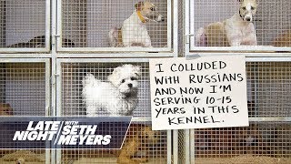 Extreme Dog Shaming Russian Collusion, Pooping Twice