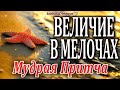 «Величие в Мелочах» Мудрая Притча, которая Заставляет Задуматься! Читает Владимир Фёдоров