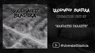 Ulcerated Blastula - Mandated Parasite
