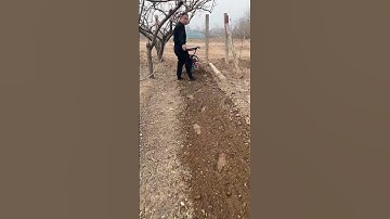 #Ditching and soil-raising machine #Weeder #Tilling, ditching, weeding and fertilizing one machine