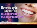 Почему зубы влияют на позвоночник и органы человека. Михаил Сватковский. Часть 2