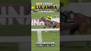 lulamba Reverses Cheltenham Form With Poniros In The Final Grade 1 Of The Punchestown Festival 