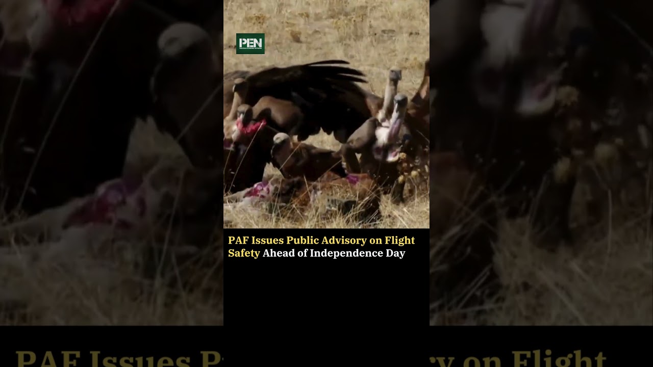 PAF Issues Public Advisory on Flight Safety Ahead of Independence Day 