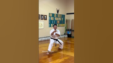 Uechiryu Karate #uechiryu #karate #kata #shokenschoolofkarate #shorts