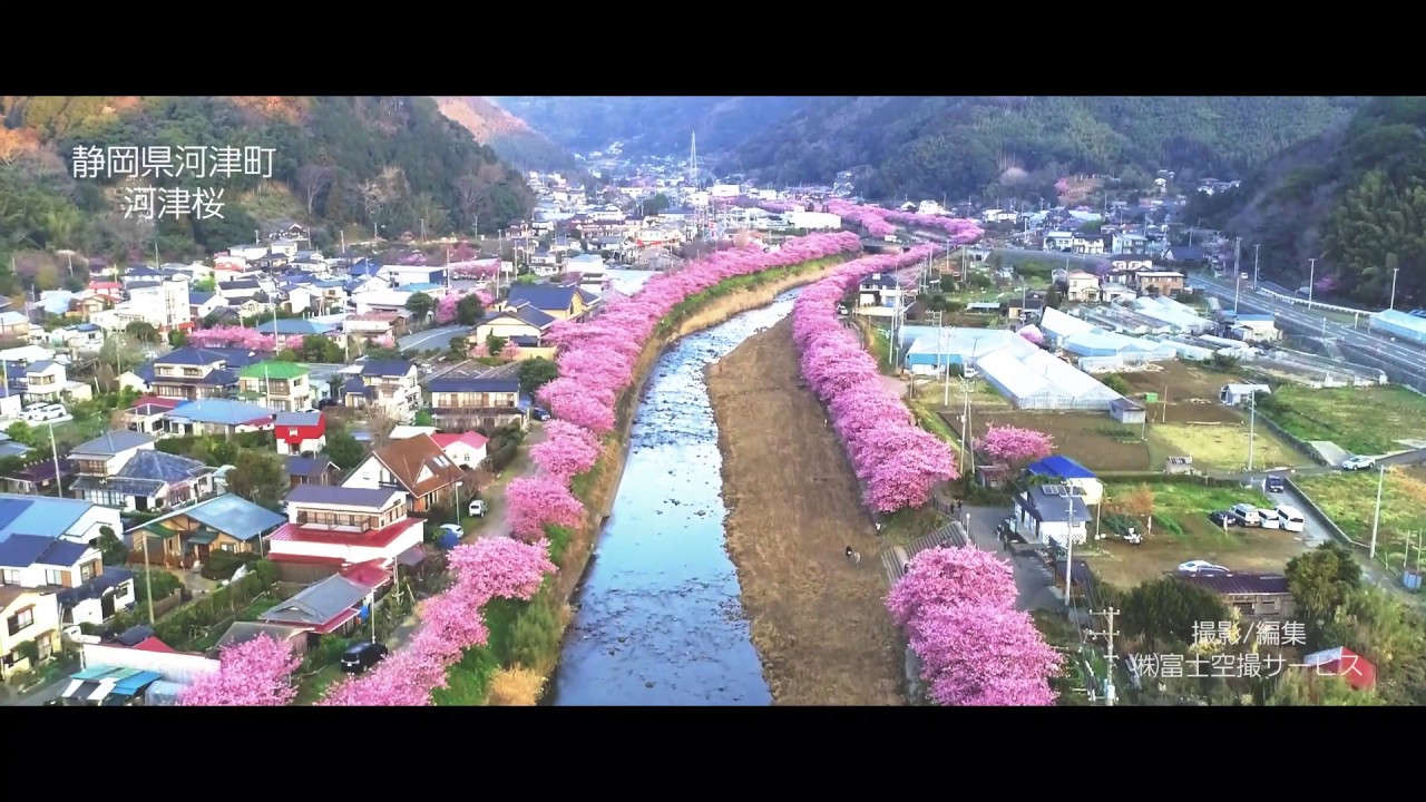 河津 静岡 町 県