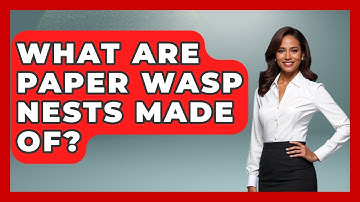 What Are Paper Wasp Nests Made Of? - Insects and Invaders
