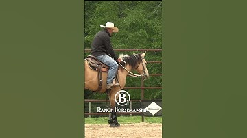 How To Teach a Horse To Work The Flag Part 2