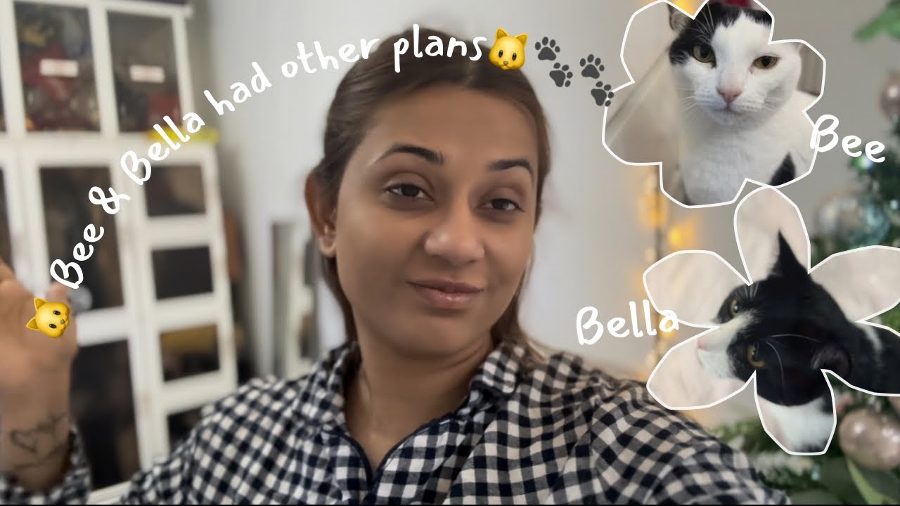 Trying to Fold Clothes… But My Fur Babies Had Other Plans 🐾😂