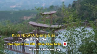 Kinh NIKAYA Giảng Giải – Tương Ưng Sáu Xứ _ Chớ Nghĩ Là Của Tôi – Nhàm Chán Từ Bỏ B
