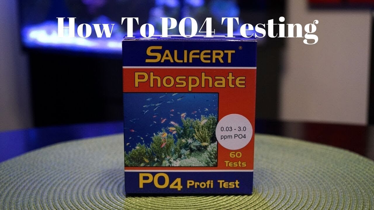 Revised - PO4 Testing - Video 