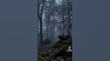 انا مبهر فى اختيار الاشخاص الغلط فضل شاكر 