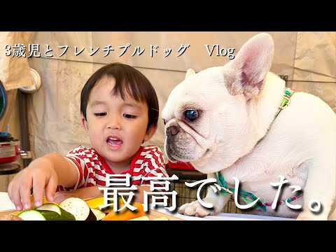 3歳児とフレンチブルドッグを連れて快適グランピング旅行【愛犬と旅行 Vlog】