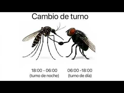 RANDOM MEMES #750