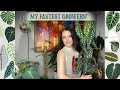 My Fastest Growing Houseplants! Top 10 🙌🏼✨🌿🌱💚